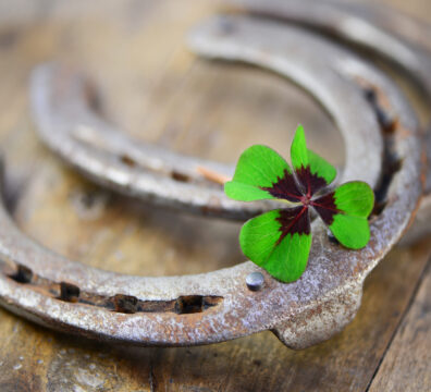 Kleeblatt liegt auf 2 Hufeisen auf Holzuntergrund